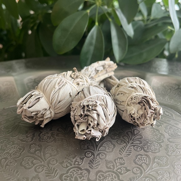 Sage (3 pieces) - Picture 2 of 2